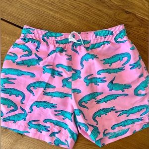 Chubbies The Glade 5.5 Classic Swim Trunk